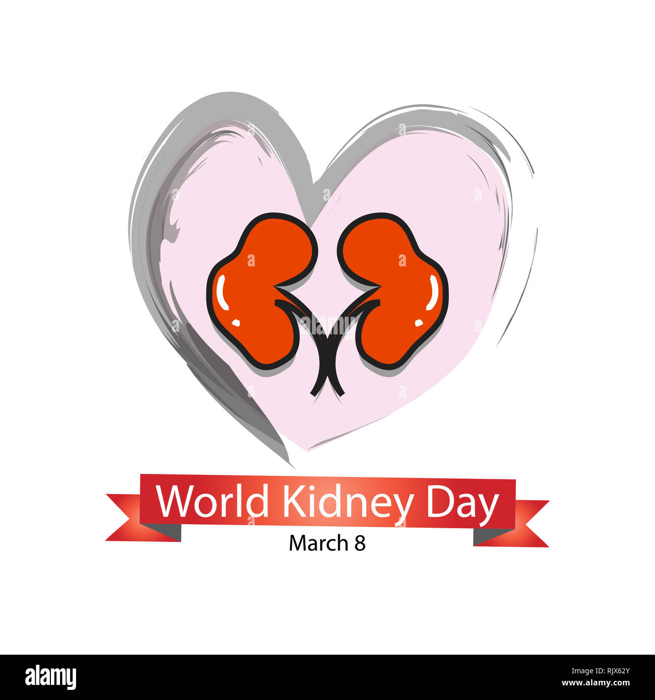 World kidney day Cut Out Stock Images & Pictures Alamy