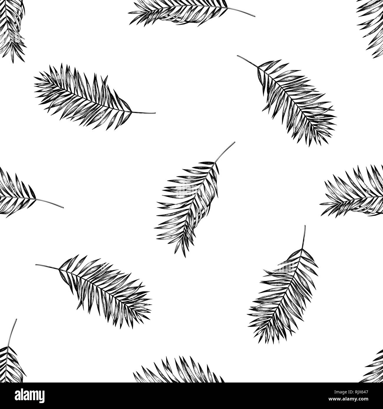 Seamless pattern with black and white coconut palm leaves Stock Vector ...