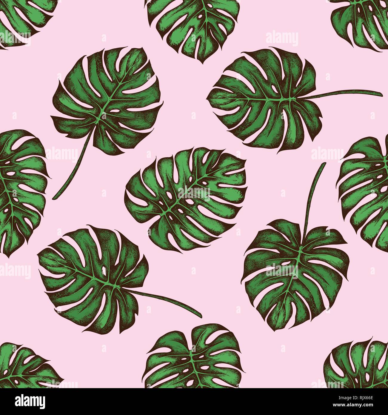 Seamless pattern with hand drawn colored monstera Stock Vector