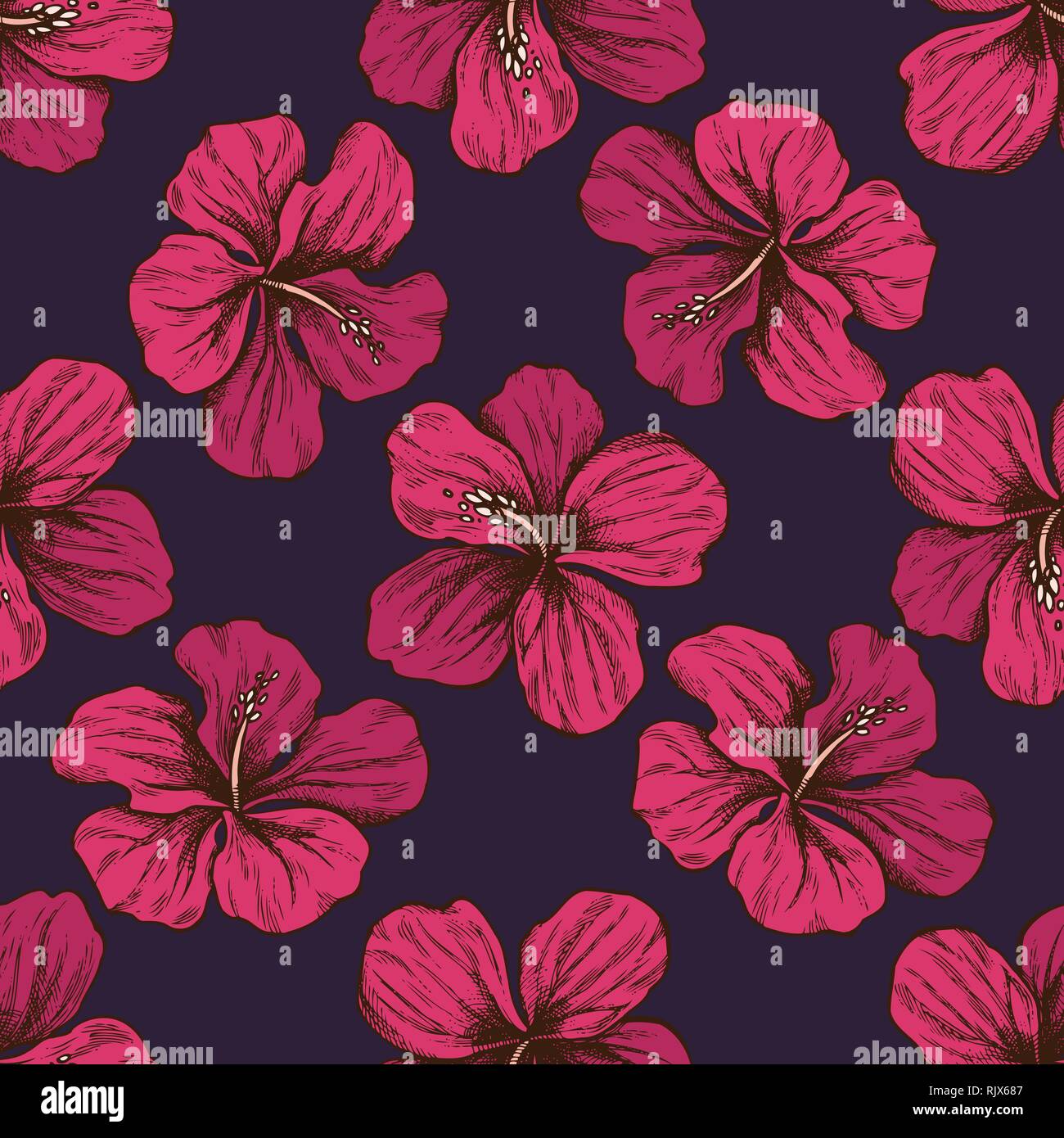 Seamless pattern with hand drawn colored protea, hibiscus Stock Vector