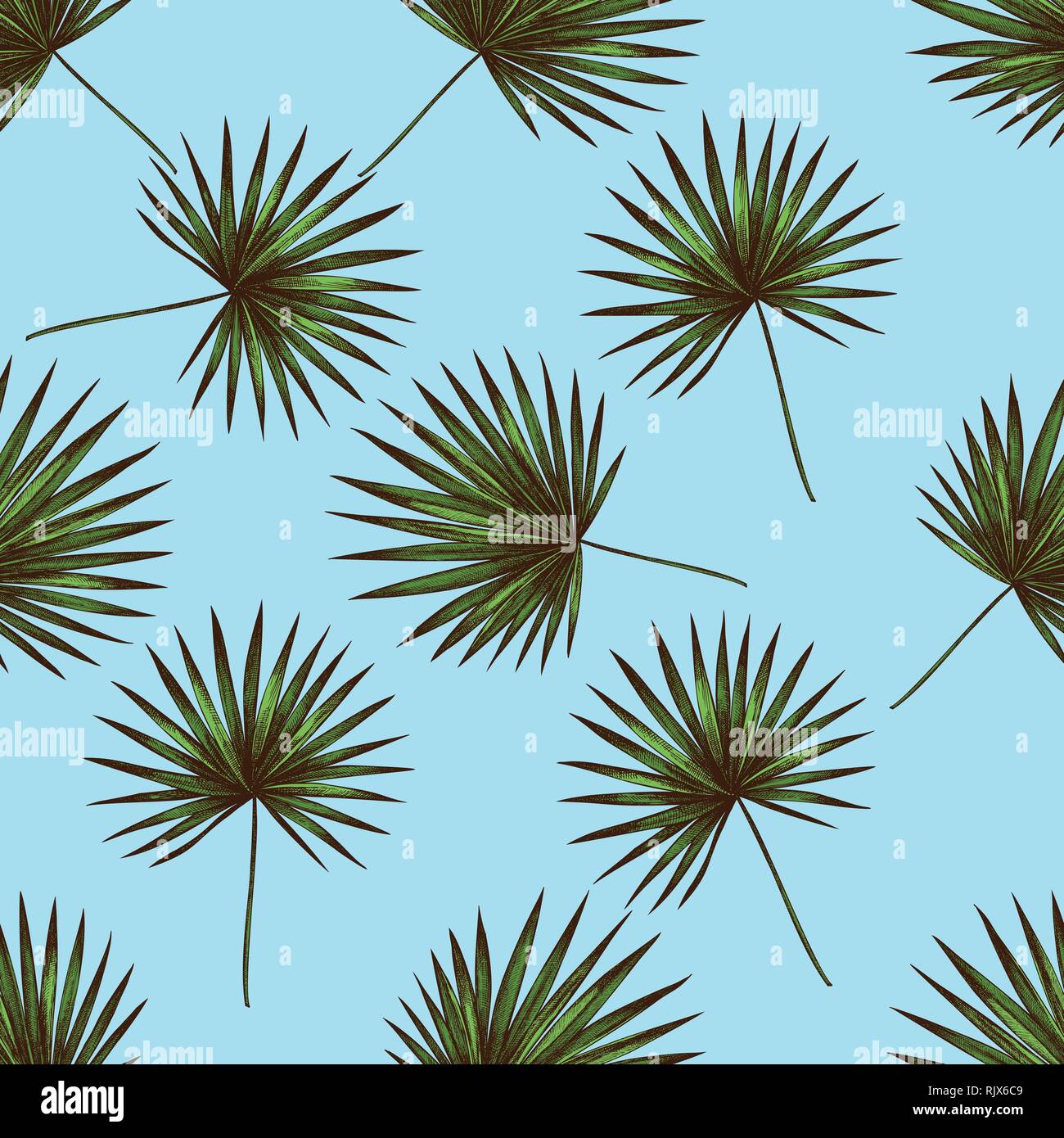 Seamless pattern with hand drawn colored trachycarpus Stock Vector
