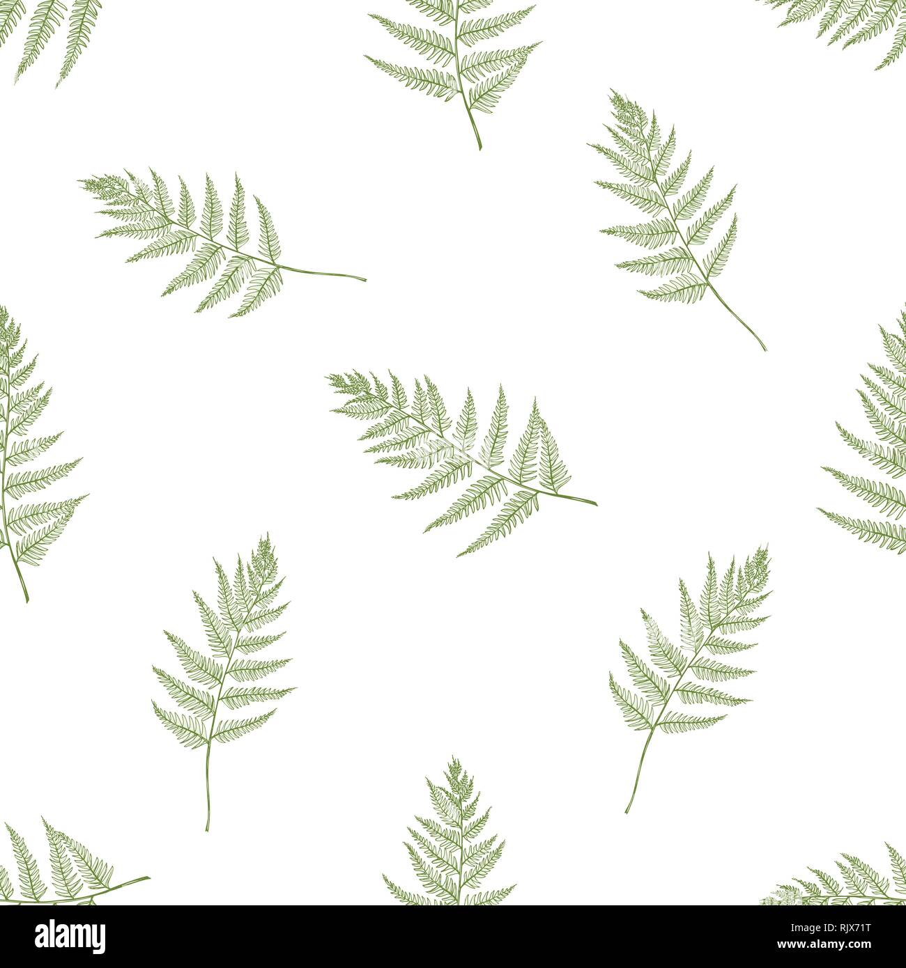 Seamless pattern with hand drawn pastel fern Stock Vector Image & Art ...