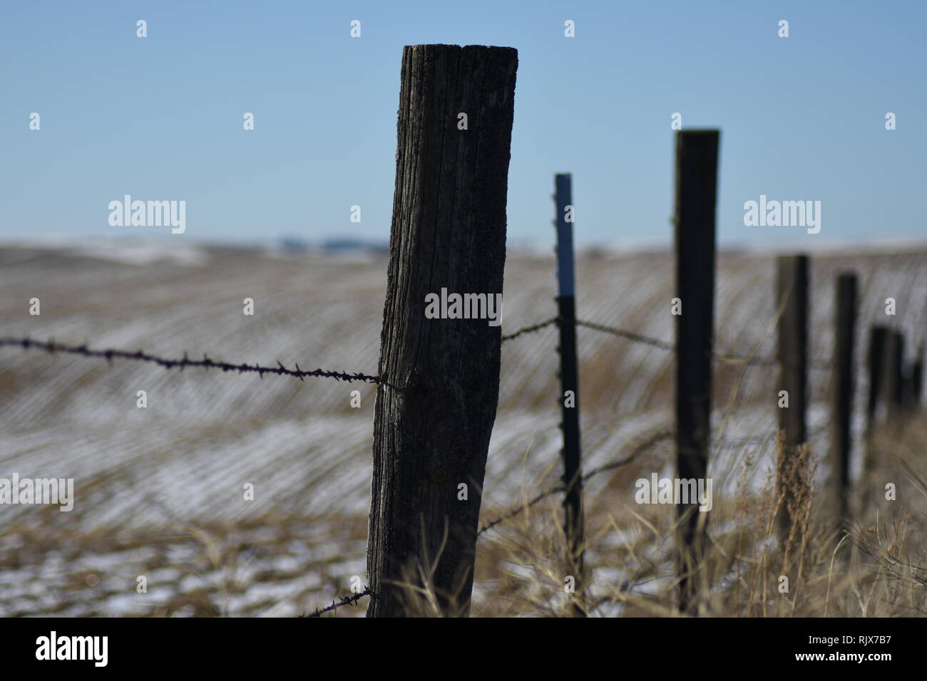 Barbed wire fence line on snow dusted rolling farm land in Eastern