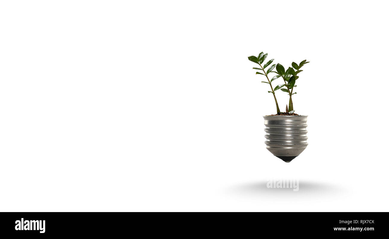 Light Bulb with plant inside on white background. Mixed media Stock ...