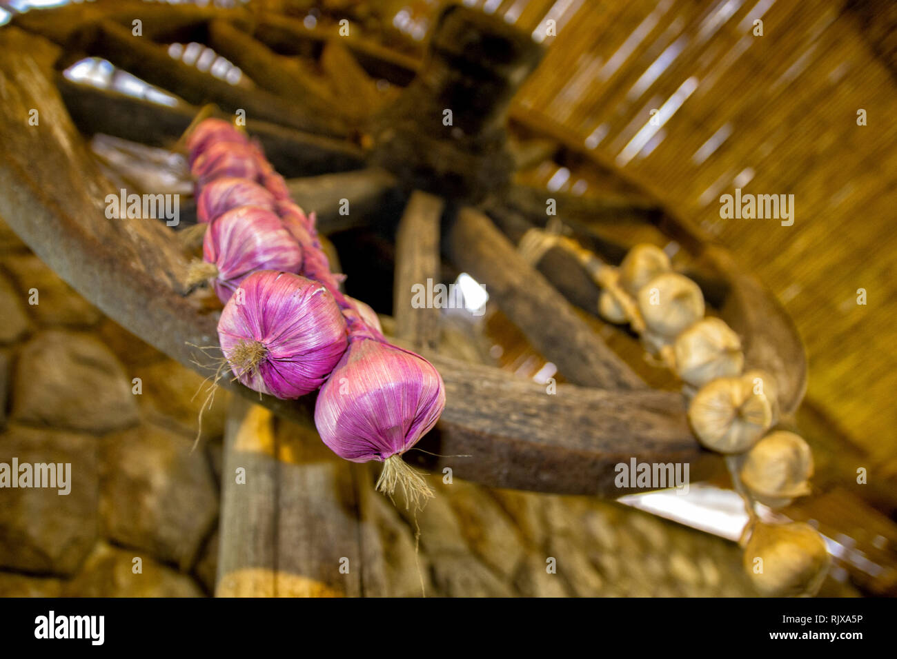 Bunch of onions hanging from a wheel of an old cart Stock Photo