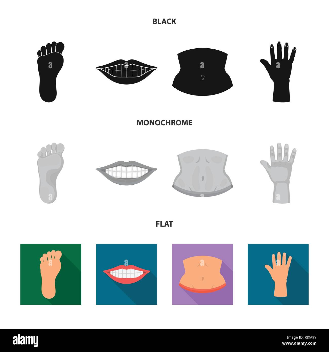 Isolated object of body and part icon. Collection of body and anatomy ...