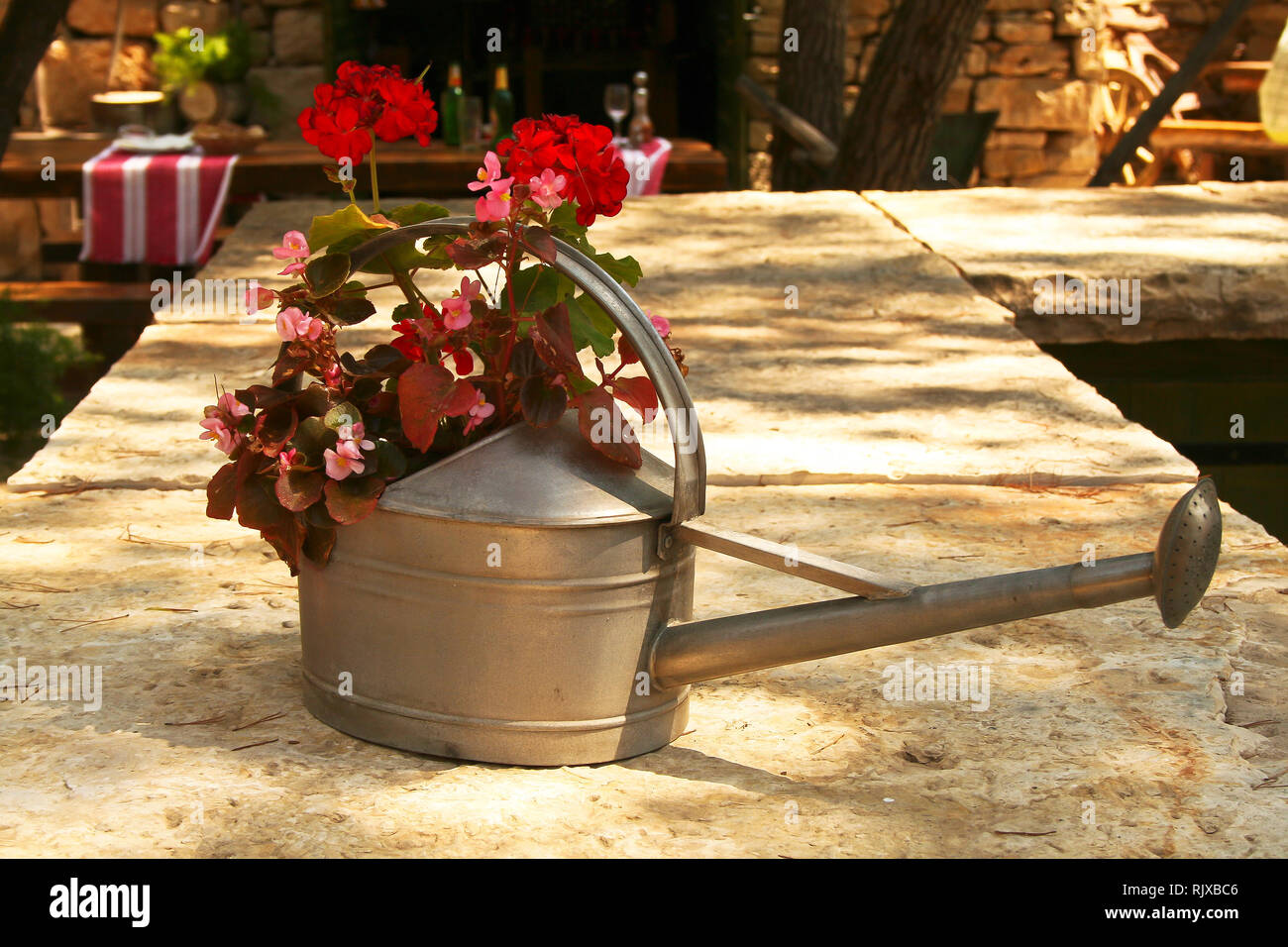 Garden / Old watering can with flowers Stock Photo