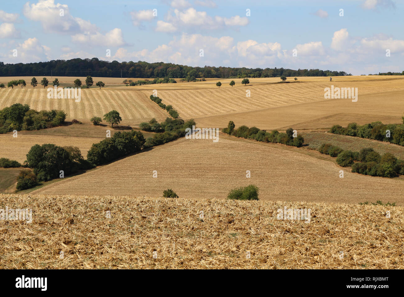 Harvest season landscape hi-res stock photography and images - Alamy