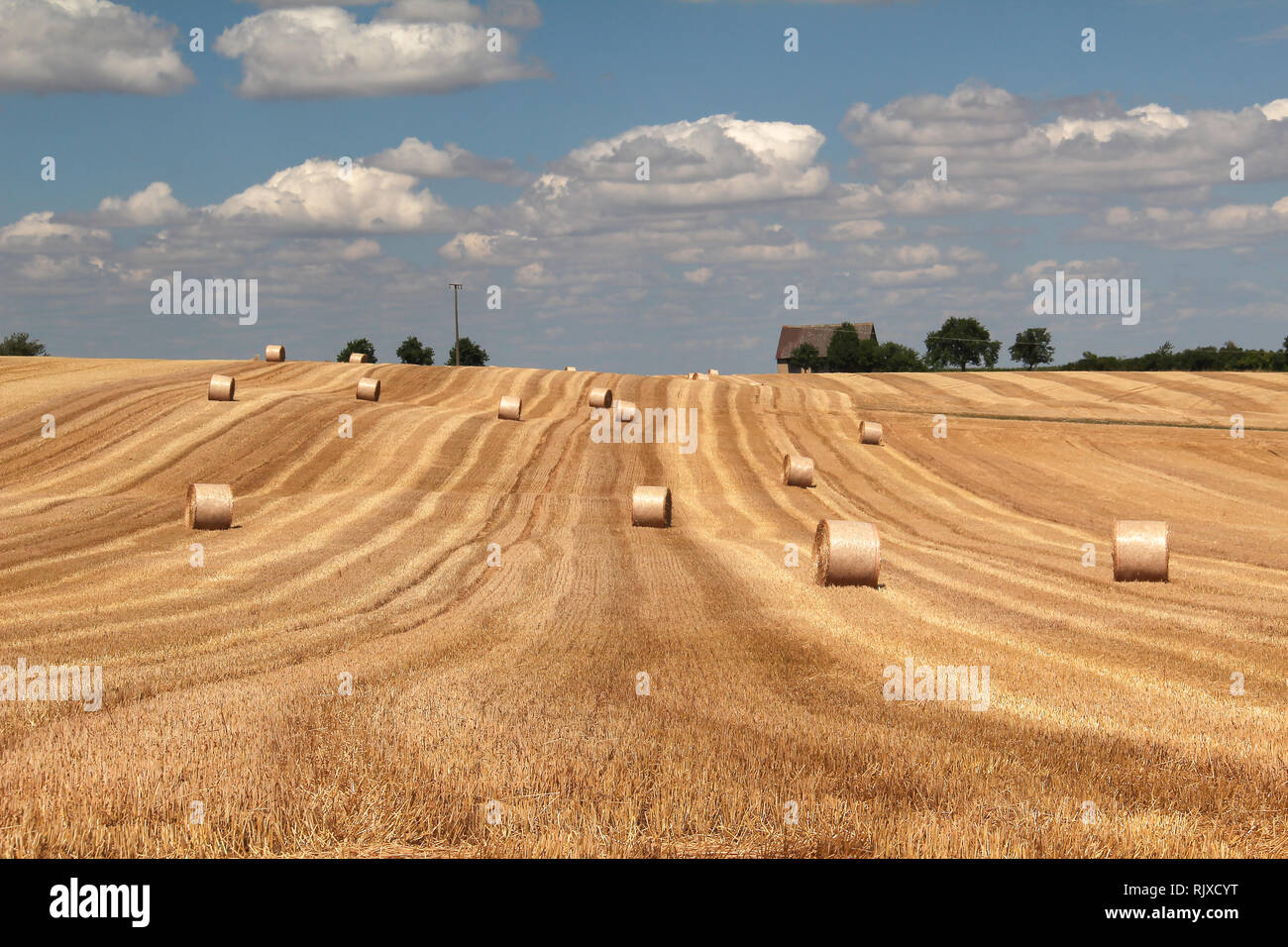 That's the end of the summer ... / Harvested wheat field Stock Photo ...