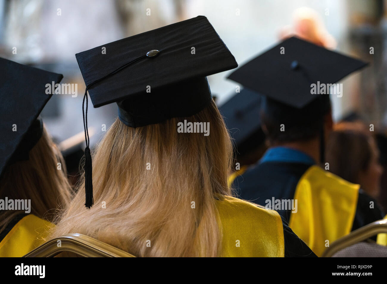 Students wearing gowns and hats sitting indoors, waiting to receive diplomas, graduation day in university, college commencement Stock Photo