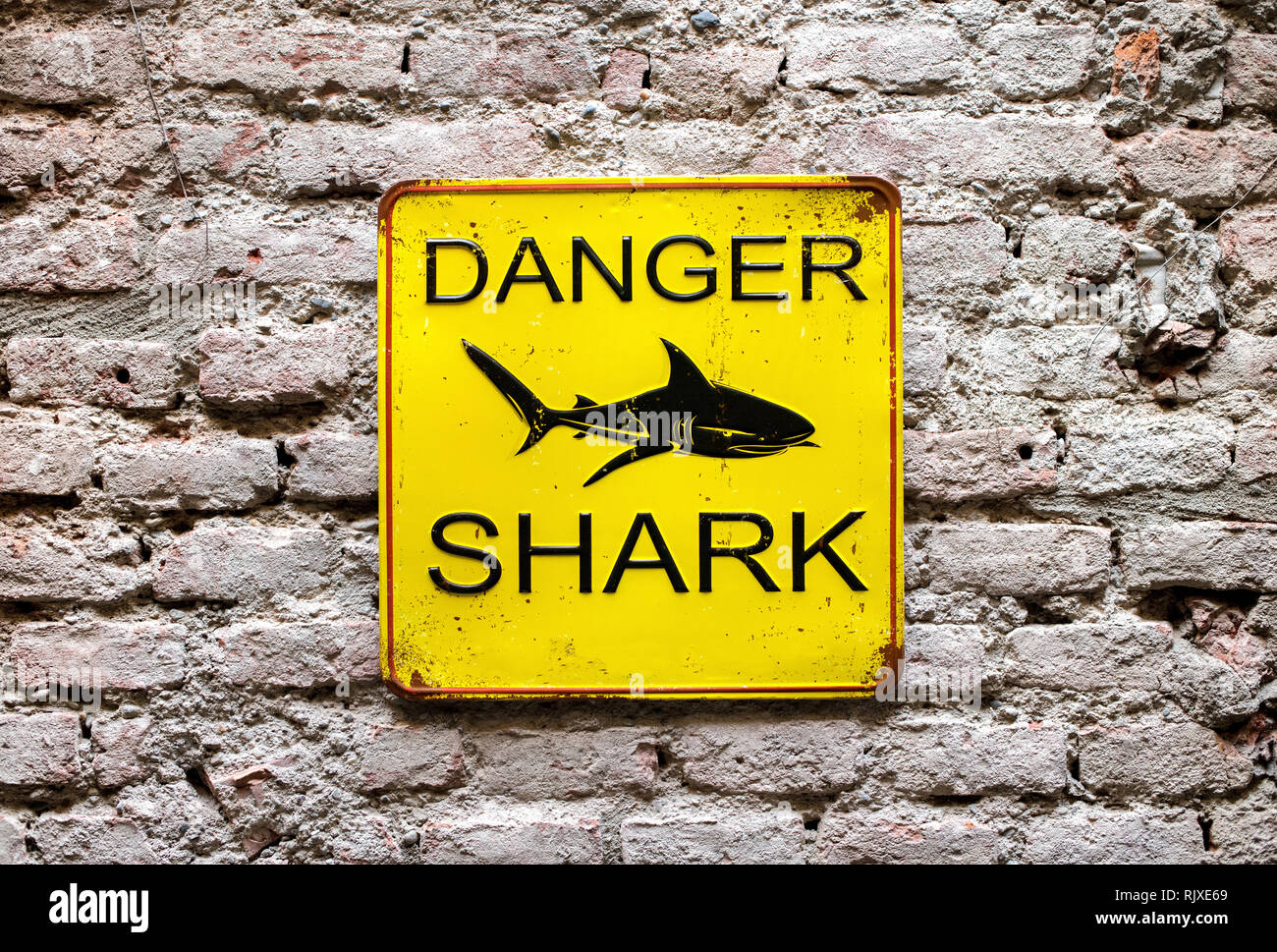 Danger Shark yellow warning sign on an old brick wall with a picture of a shark and text in a close up view Stock Photo