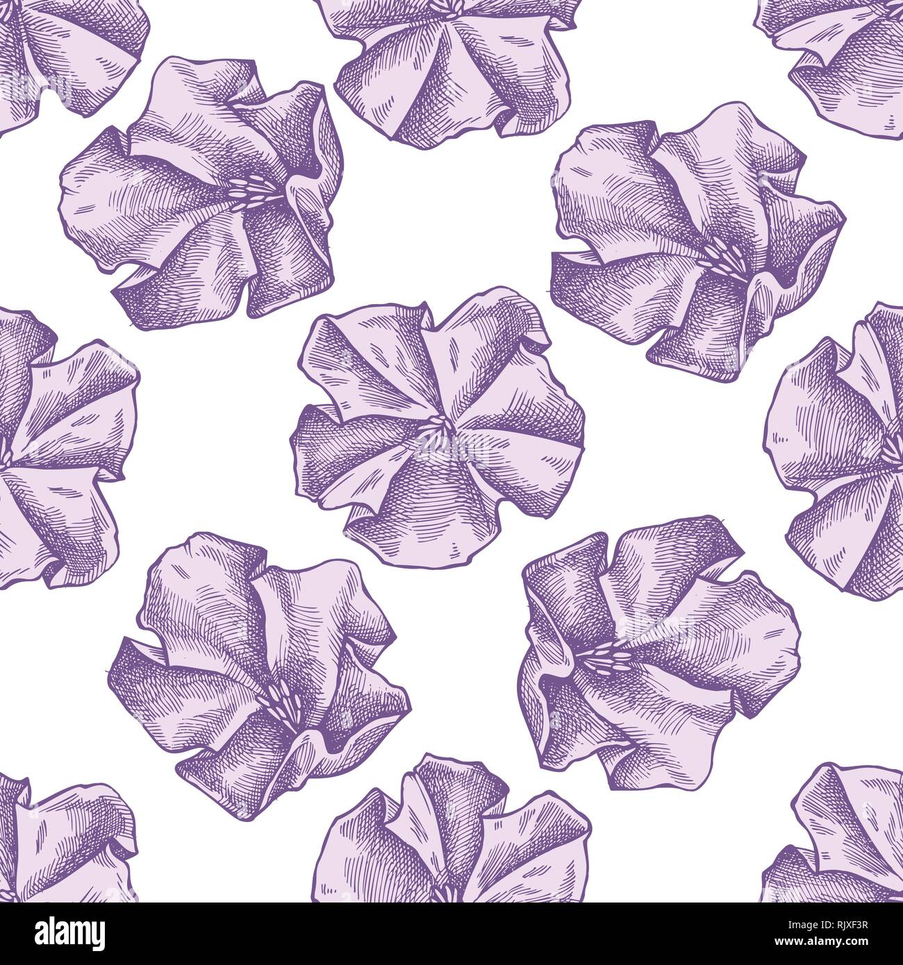 Seamless pattern with hand drawn pastel morning glory Stock Vector ...
