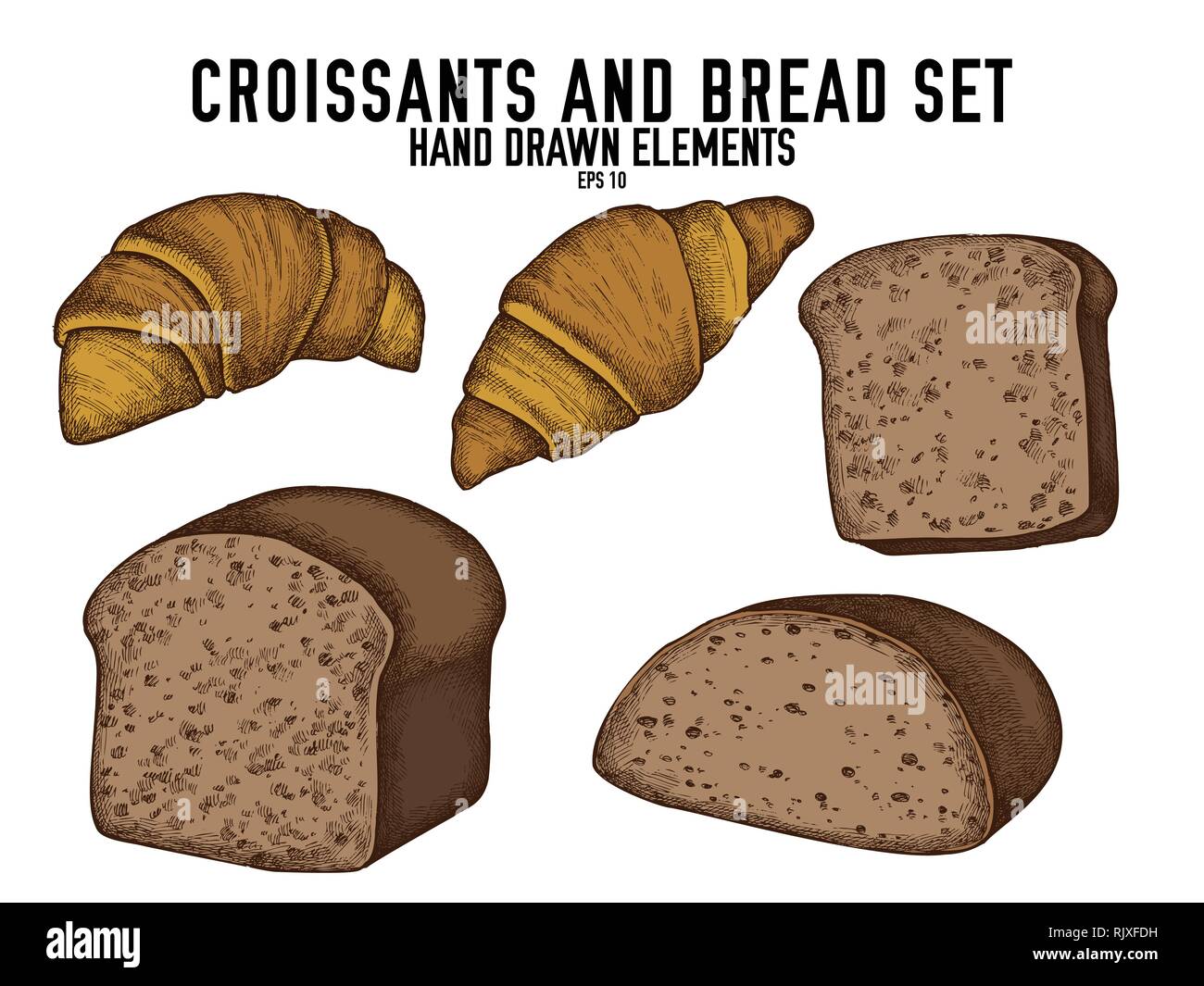 Vector collection of hand drawn colored croissants and bread Stock ...