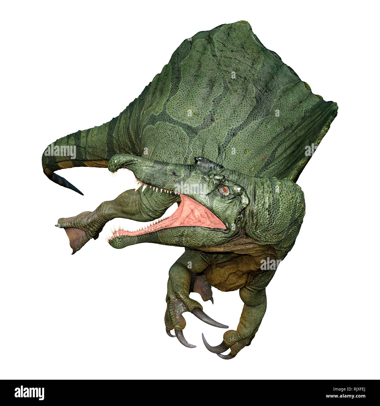 3D Rendering Of A Dinosaur Spinosaurus Isolated On White Background 3D Rendering Of A Dinosaur Spinosaurus Isolated On White Background