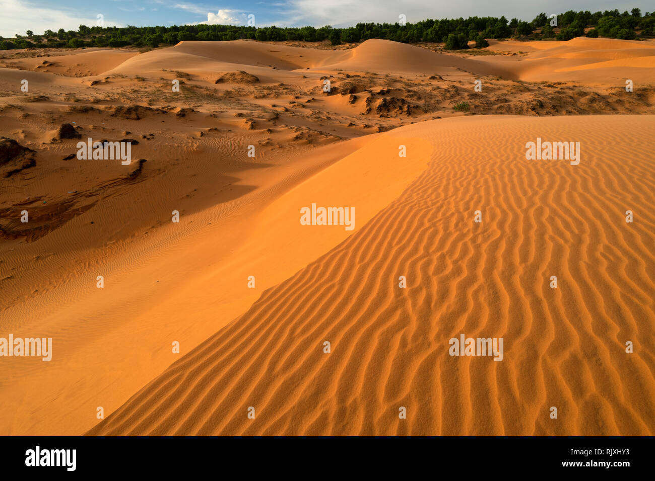 Asia; Asian; Southeast Asia; Vietnam; Southern; Binh Thuan Province; Phan Thiet, red sand dune Stock Photo
