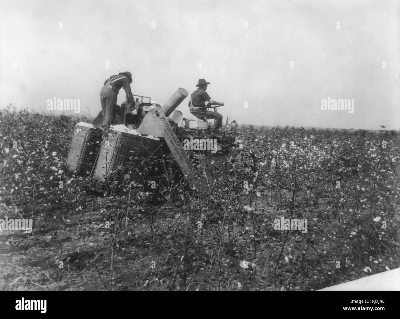 Mechanical cotton picker Black and White Stock Photos & Images Alamy