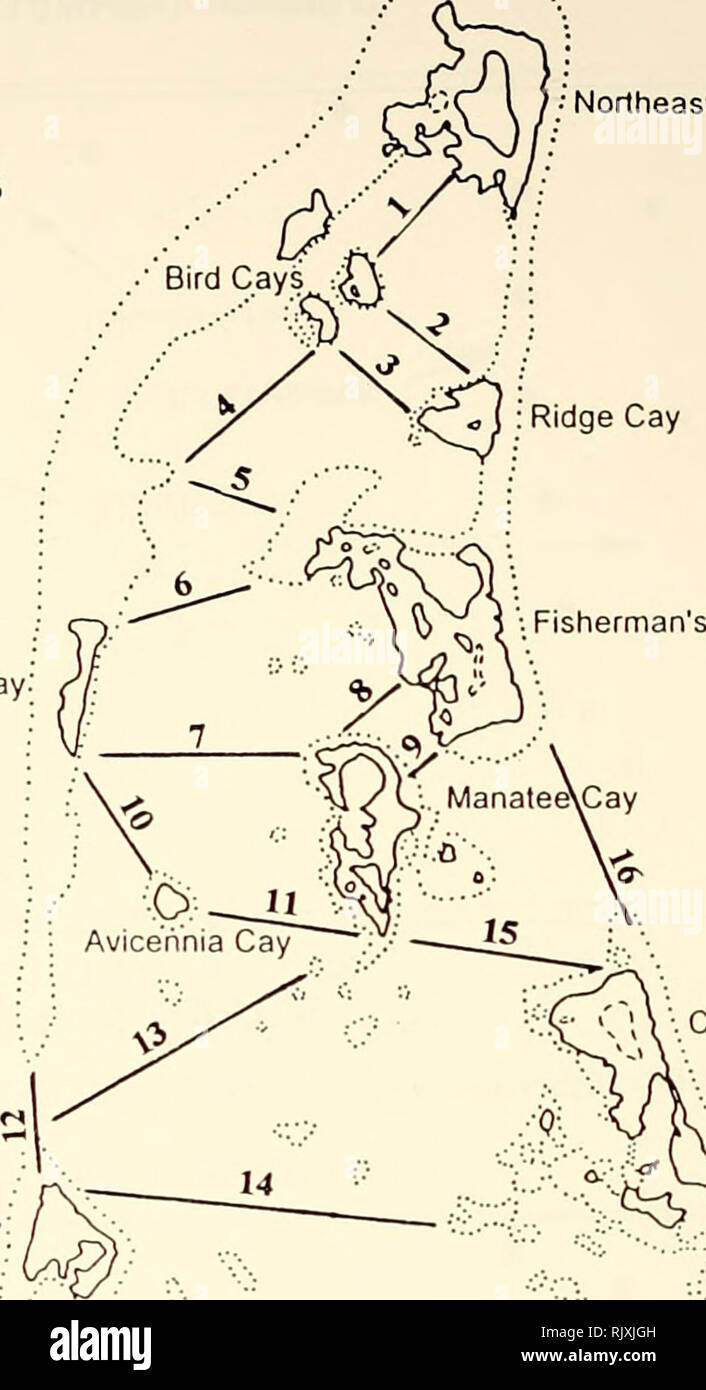 Cat Island Island Map High Resolution Stock Photography And Images