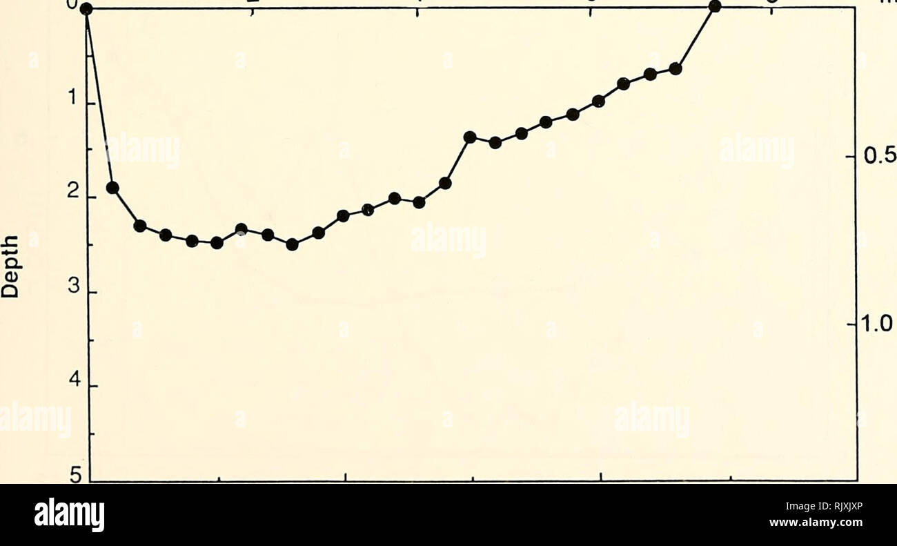 . Atoll research bulletin. Coral reefs and islands; Marine biology; Marine sciences. -•—•- ft 0 10 30 20 Distance Figure 11. Fisherman's Cay Channel Axial Profile from Pond E to lagoon. 2 4 6 ft 0 10 20 Distance Figure 12. Fisherman's Cay Cross-Section looking into Pond H m 0.5 -1.0 40 m. 30. Please note that these images are extracted from scanned page images that may have been digitally enhanced for readability - coloration and appearance of these illustrations may not perfectly resemble the original work.. Smithsonian Institution. Press; National Research Council (U. S. ). Pacific Science B Stock Photo