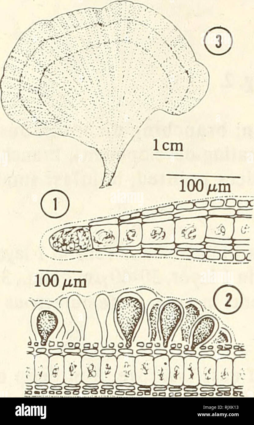 . Atoll research bulletin. Coral reefs and islands; Marine biology
