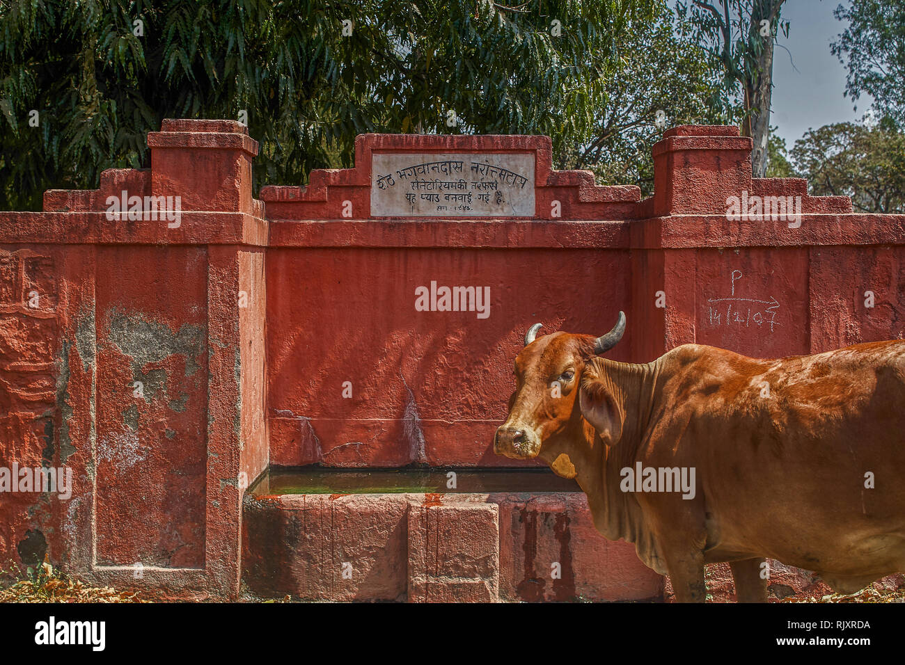 20 Feb 2007Vintage charitable cattle water supply Deolali nasik