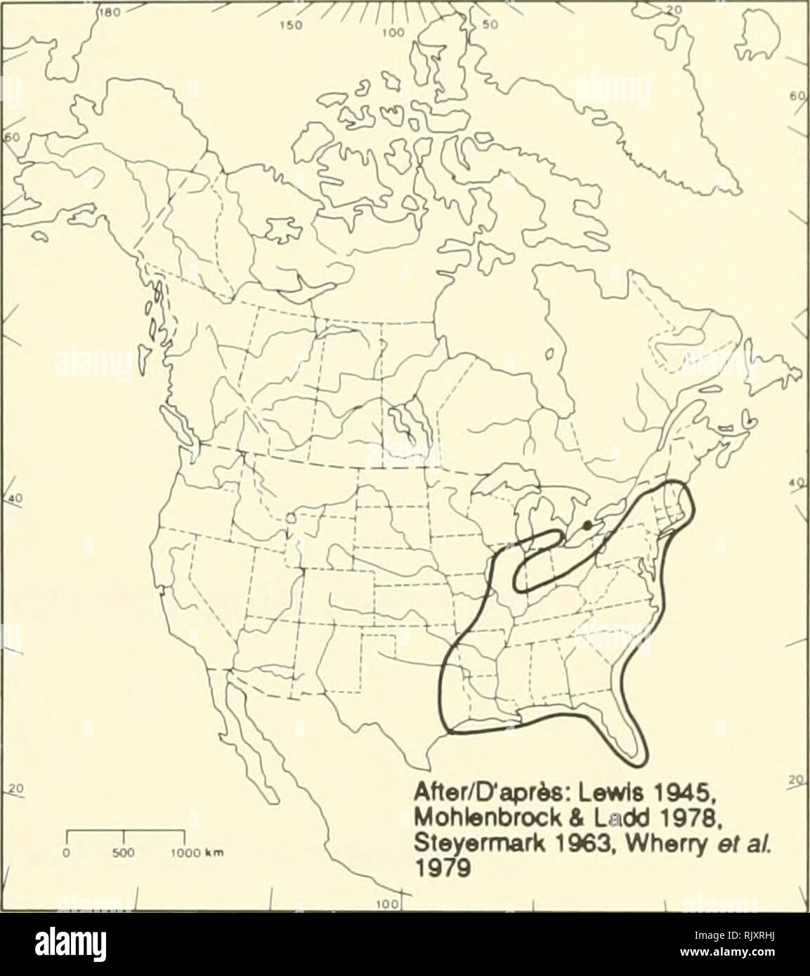 . Atlas of the rare vascular plants of Ontario. Rare plants; Botany. After/D'aprÃs: Lewis 1945. Mohlenbrock&amp; Ladd 1978, Steyermark 1963. Wherry et al. 1979 HABITAT: Sandy openings in woodlands. STATUS: Rare in Canada. Threatened in Michigan; rare in Indiana. NOTES: There is a photograph at DAO of a specimen at MT of Trichostema dichotomum that was collected at La Prairie, Quebec (near Montreal). Apparently, Boivin felt that this sheet had been incorrectly labelled and he considered it to be a duplicate of a collection from Maine (Montgomery &amp; Morton 1973). It was probably for this reas Stock Photo