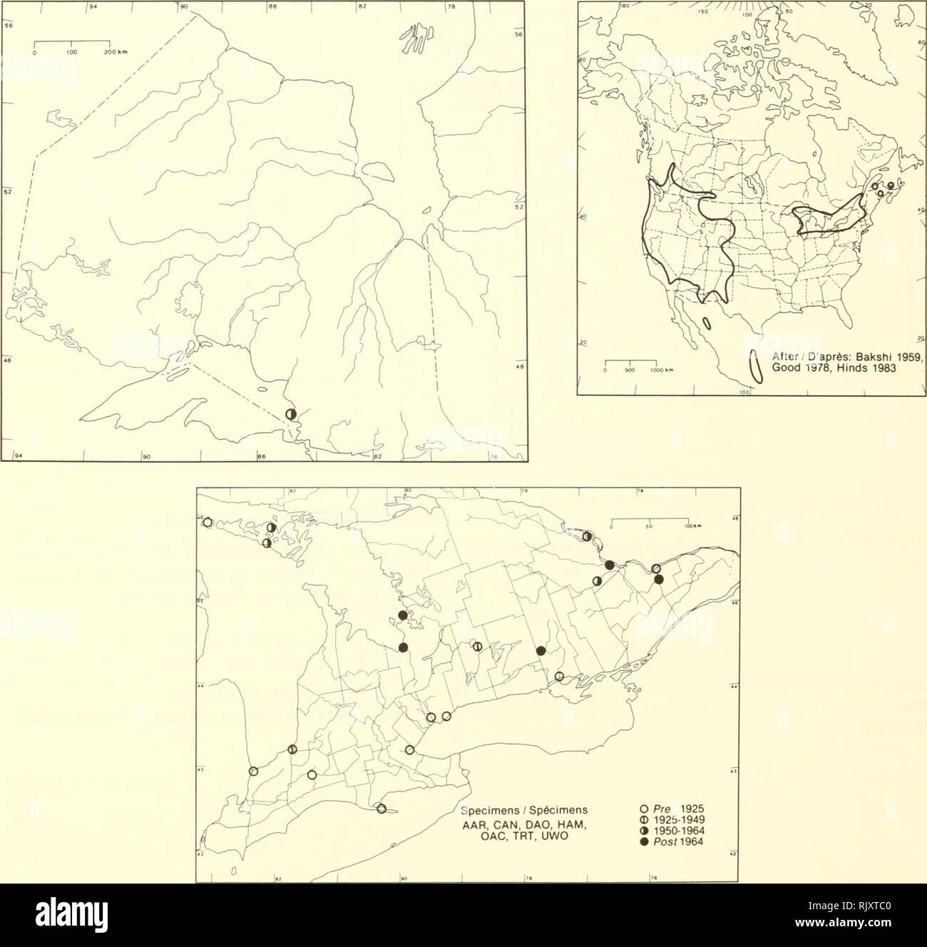 . Atlas of the rare vascular plants of Ontario. Rare plants; Botany
