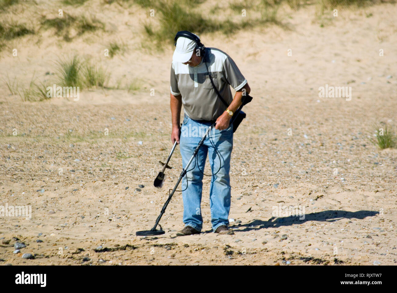 Metal detecting, Southwold Stock Photo Alamy