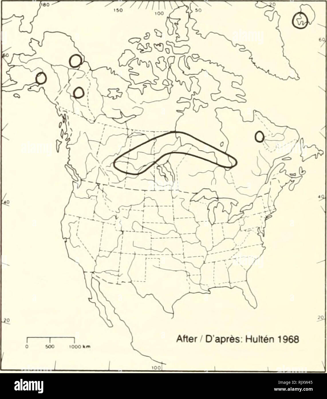 . Atlas of the rare vascular plants of Ontario. Rare plants; Botany. HABITAT: Marécages. STATUS: Rare in Manitoba, Quebec, and the Yukon. SITUATION: Rare au Manitoba, au Québec et au Yu- kon. REFERENCES/SOURCES Bôcher, T.W. 1952. A study of the circumpolar Carex heleonastes — amblyorhyncha complex. Acta Arctica 5:1- 31. P.W. Ball &amp; D.J. White 1982. Please note that these images are extracted from scanned page images that may have been digitally enhanced for readability - coloration and appearance of these illustrations may not perfectly resemble the original work.. Argus, George W. (George Stock Photo