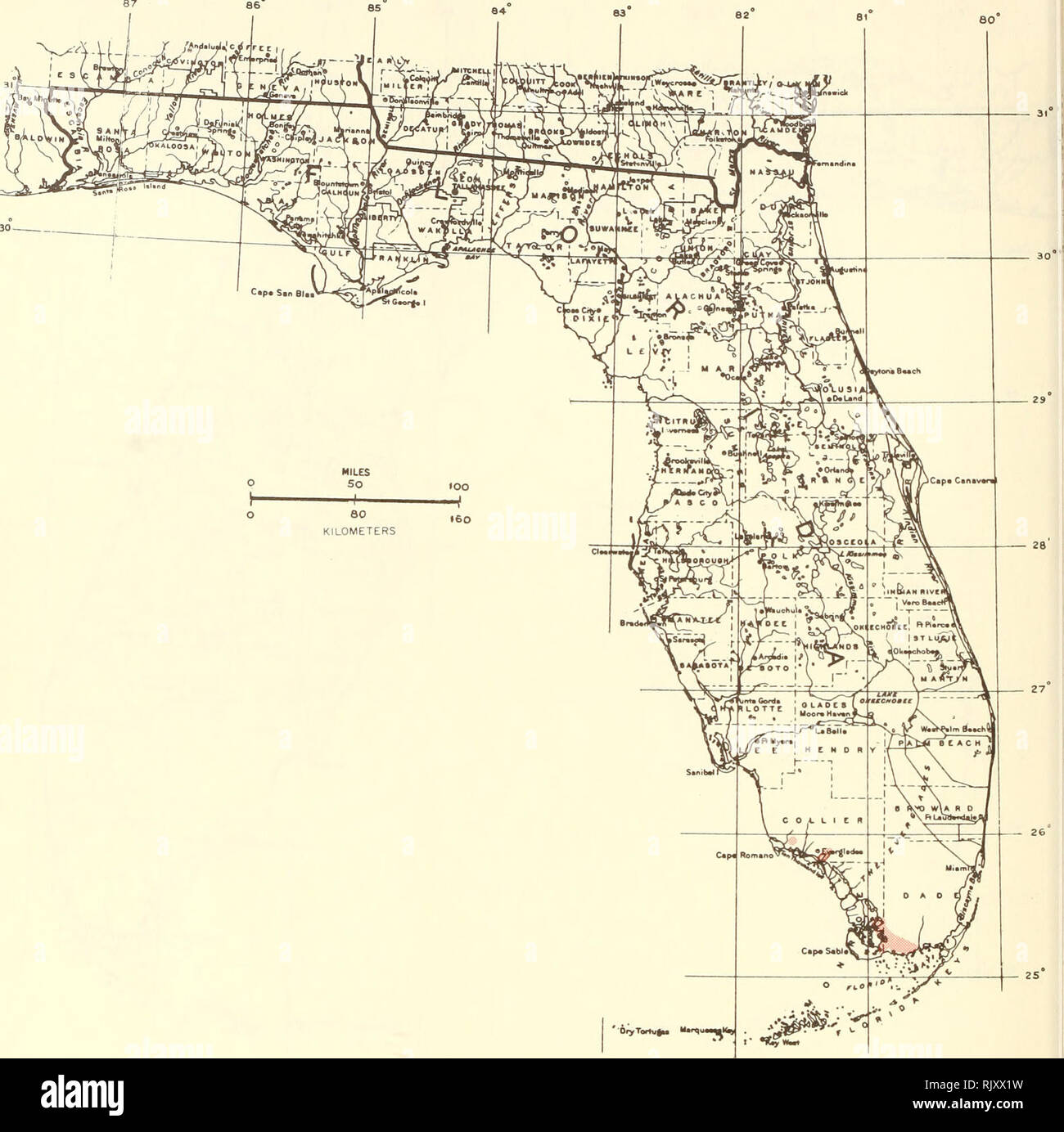 . Atlas of United States trees: volume 5. Florida. Trees. Map 161.—Acoelorrhaphe wrightii (Griseb. &amp; H. Wendl.) H. Wendl., paurotis-palm.. Please note that these images are extracted from scanned page images that may have been digitally enhanced for readability - coloration and appearance of these illustrations may not perfectly resemble the original work.. Little, Elbert L. (Elbert Luther), 1907-2004; United States. Forest Service. Washington, D. C. : U. S. Dept. of Agriculture, Forest Service Stock Photo