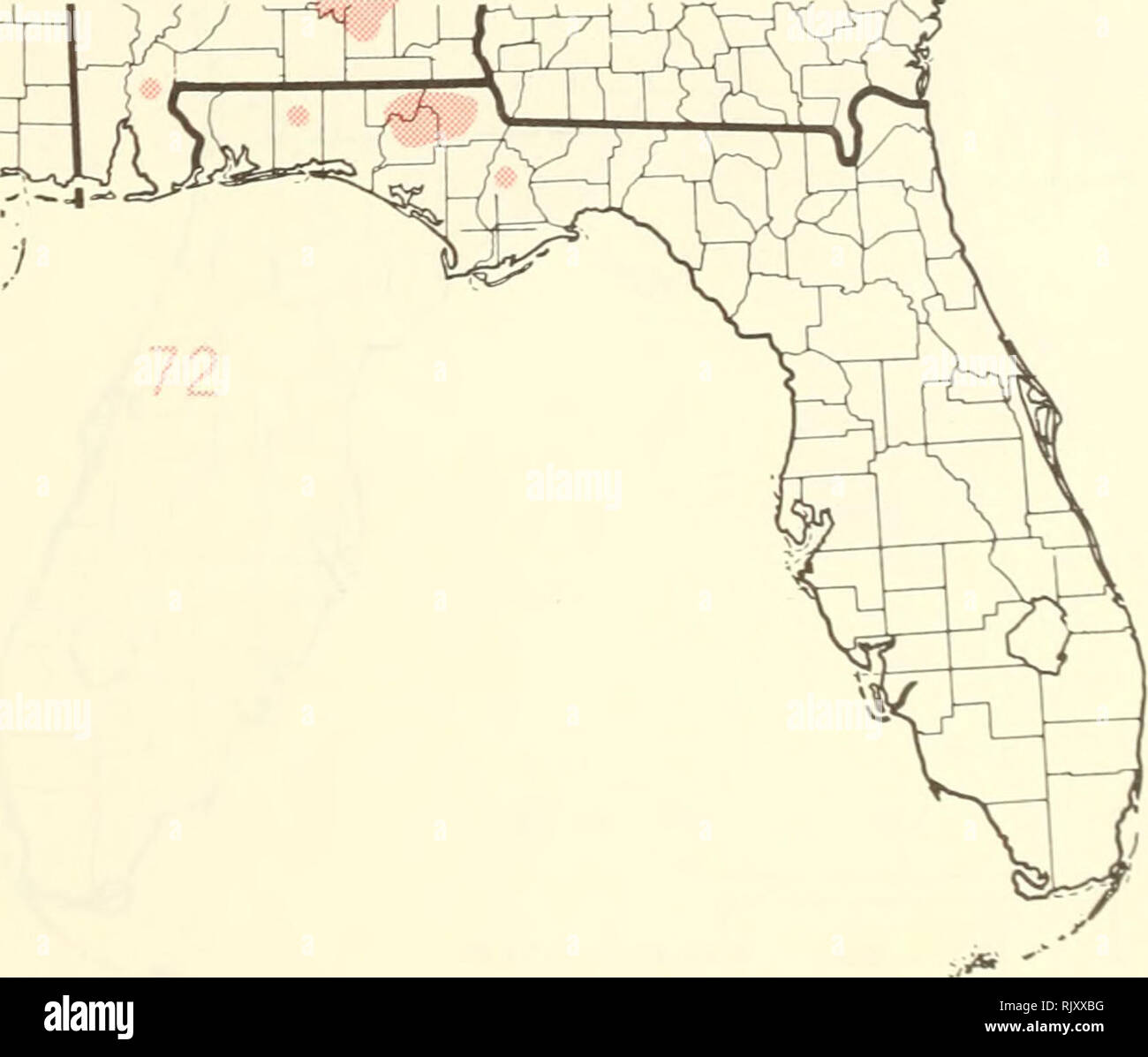 . Atlas of United States trees: volume 5. Florida. Trees. 0 I i L L | ' I â | ' I â | ' 0 100 200 300 KILOMETERS. Map 67.âIlex coriacea (Pursh) Chapm., large gallberry. Map 68.âIlex decidua Walt., possumhaw. Map 69.âIlex montana Torr. &amp; Gray, mountain winterberry. Map 70.âIlex myrtifolia Walt., myrtle dahoon. Map 71.âIlex opaca Ait., American holly. Map 72.â Ilex verticillata (L. I Gray, common winterberry.. Please note that these images are extracted from scanned page images that may have been digitally enhanced for readability - coloration and appearance of these illustrations may not pe Stock Photo