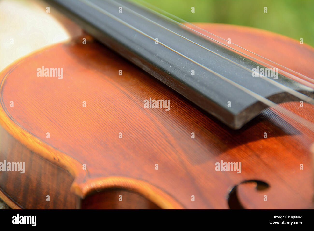 Photo of a violin body Stock Photo Alamy