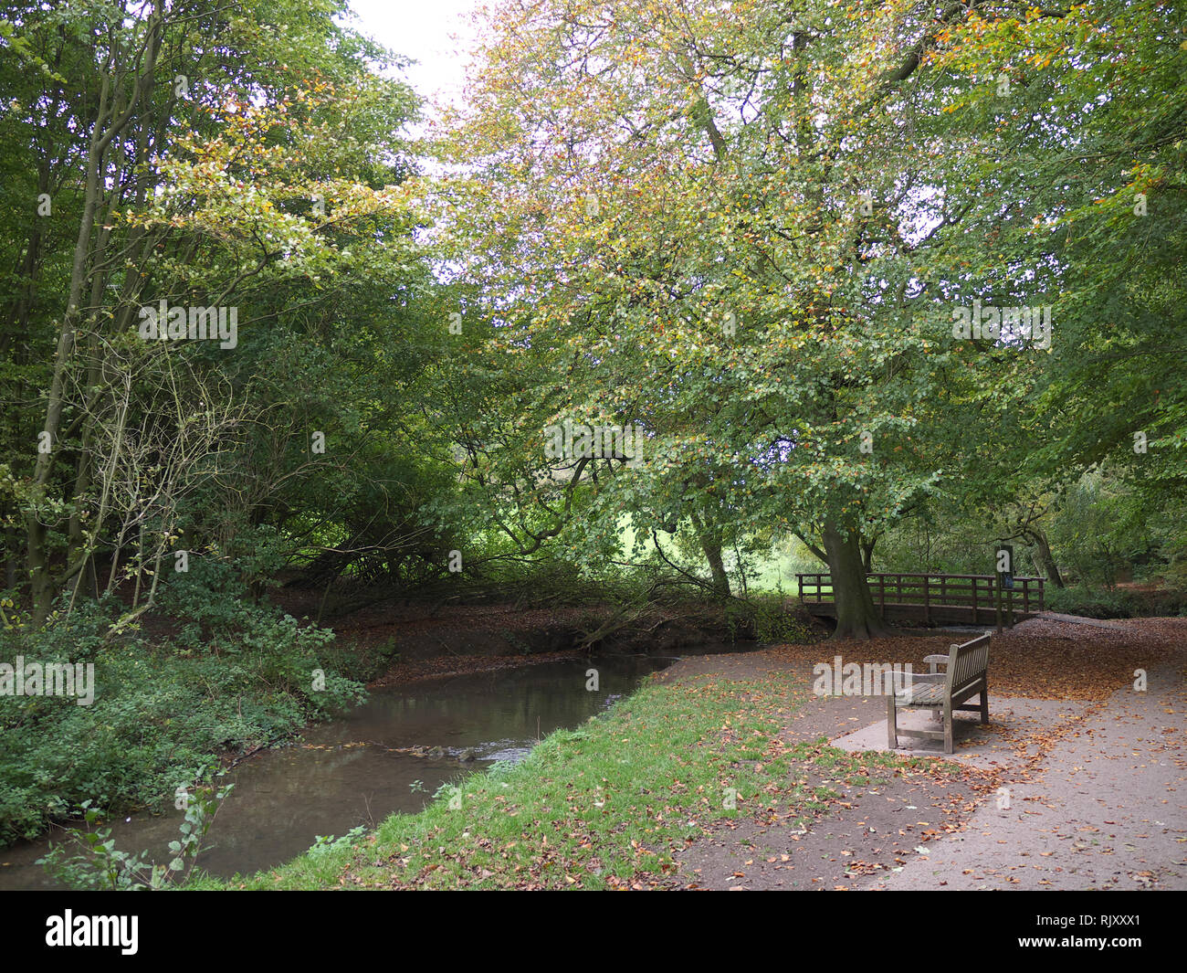 River Lud at Hubbards Hills Stock Photo