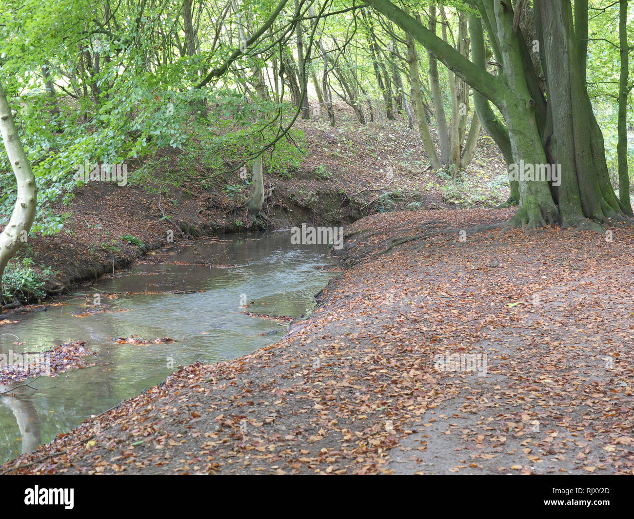 River Lud in Autumn Stock Photo