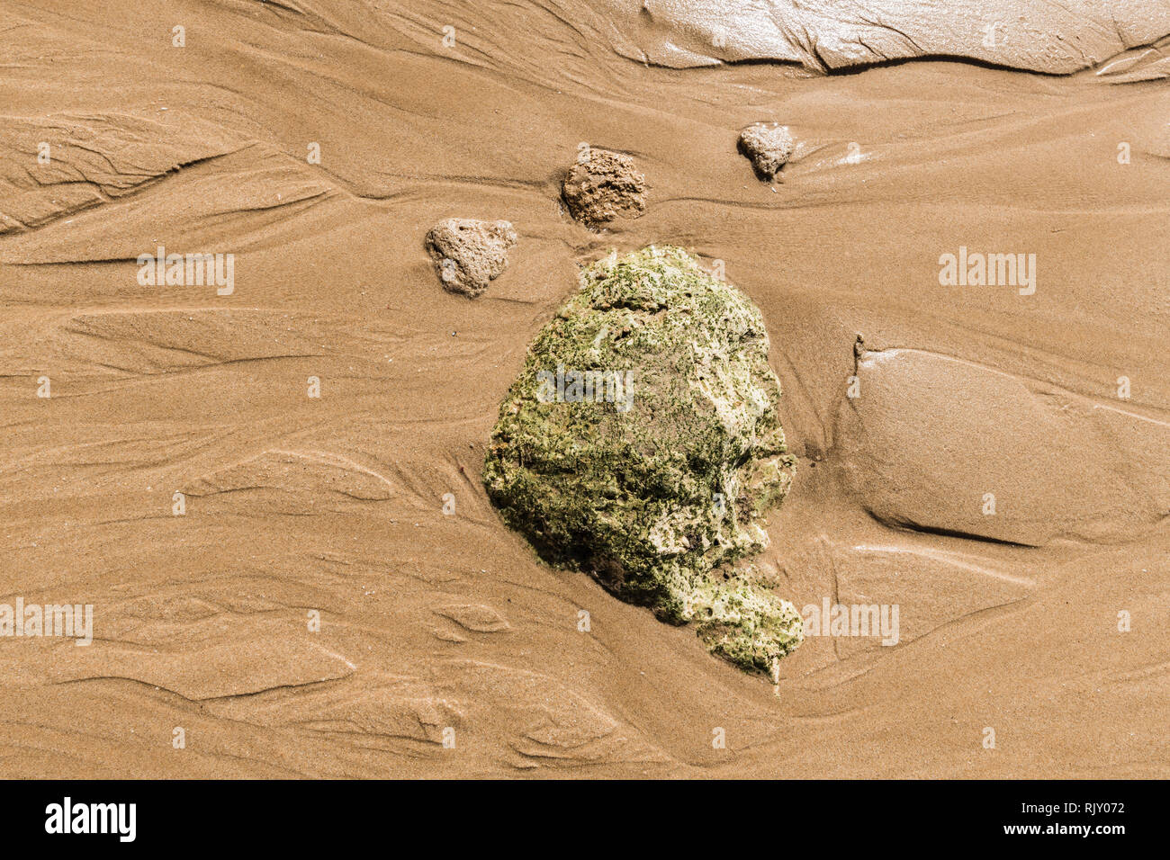 Rock surrounded by wet sand, close up Stock Photo