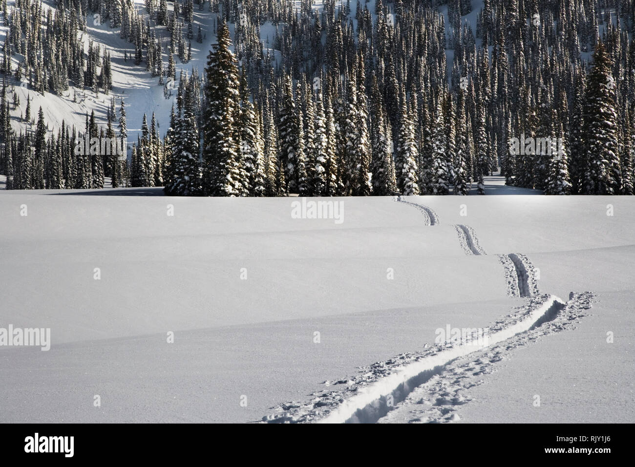 Snowy Landscape Stock Photo
