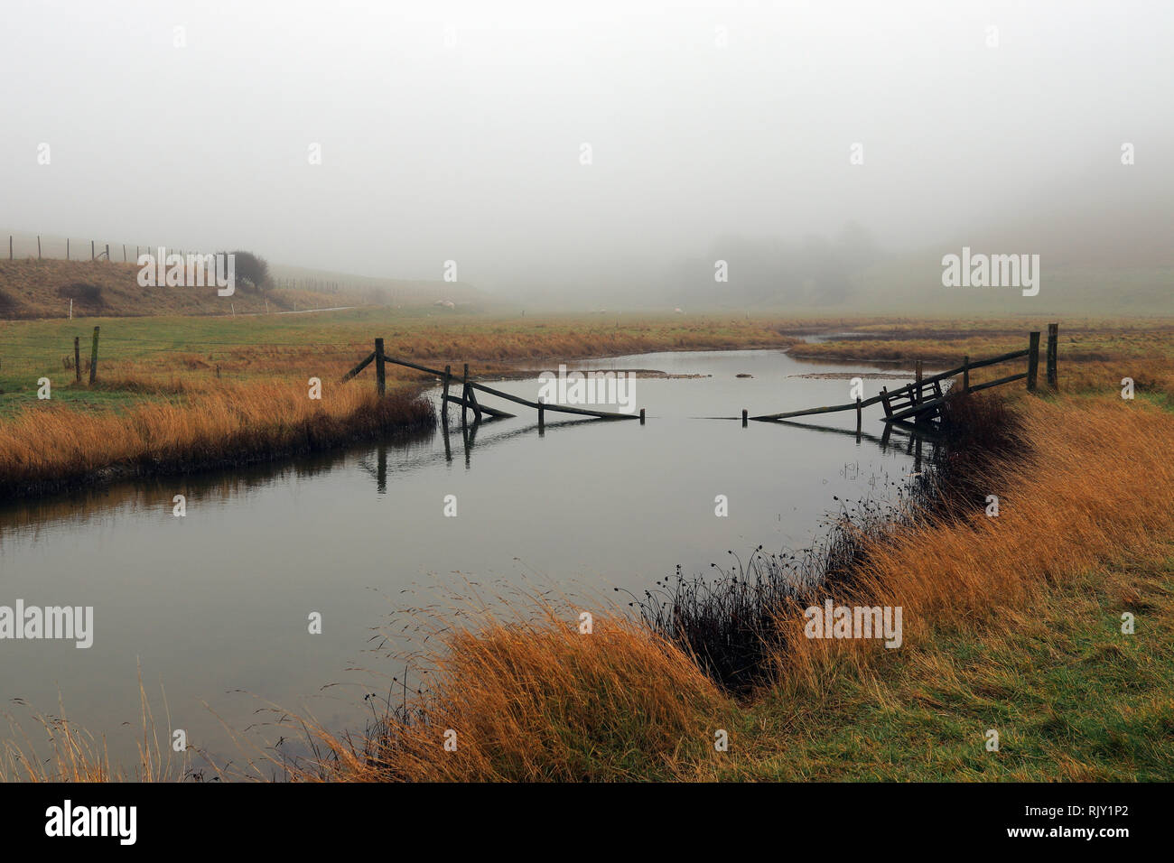 A misty winter morning in the Seven Sisters Country Park. Cuckmere river near Cuckmere Haven, East Sussex, England, United Kingdom. Stock Photo