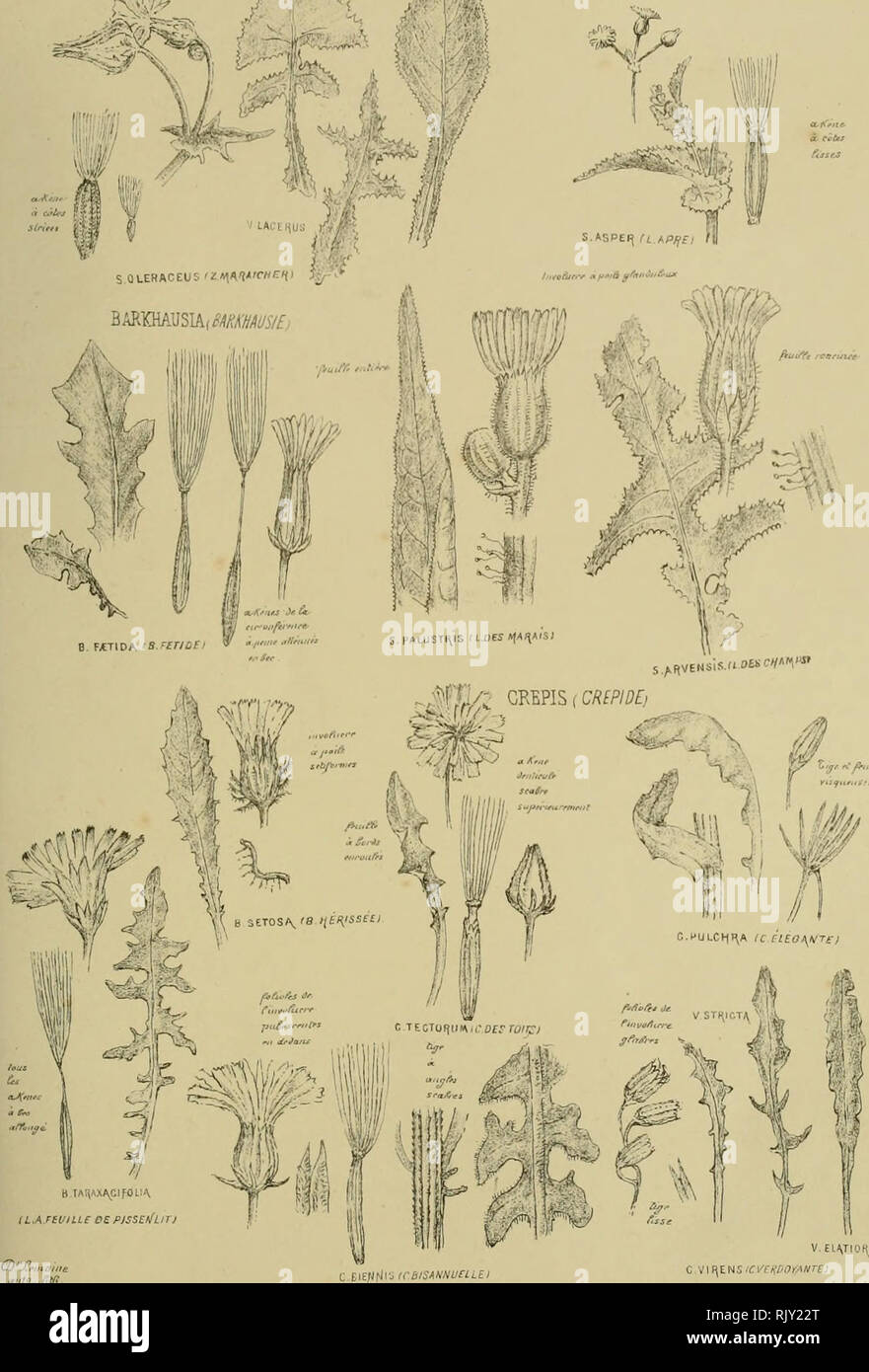 Page 6 Tiv High Resolution Stock Photography And Images Alamy