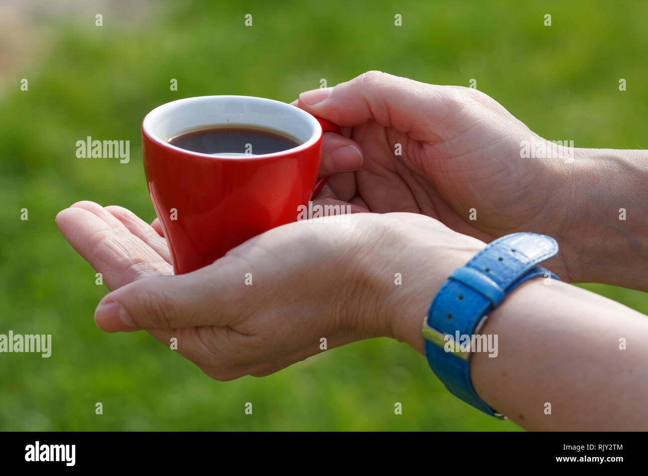 Female hands with wrist watch hold a red porcelain cup of coffee 