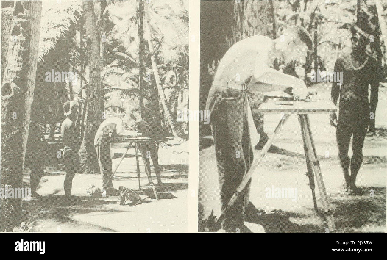 . Atoll research bulletin. Coral reefs and islands; Marine biology; Marine sciences. 16. Figures 14. Josh Tracey surveying on Ifaluk: (a) Setting up plane table with assistants looking on. (b) Close up of plane table with native assistant. (Photos F.M. Bayer) took turns handling the surveying rod. In short order the coastlines were surveyed and contours added — not much to show as the islands were only about 15 feet above mean sea level. It was during this survey that we discovered that the north end of Falarik Island had been a separate island up until relatively recent times. This was indica Stock Photo