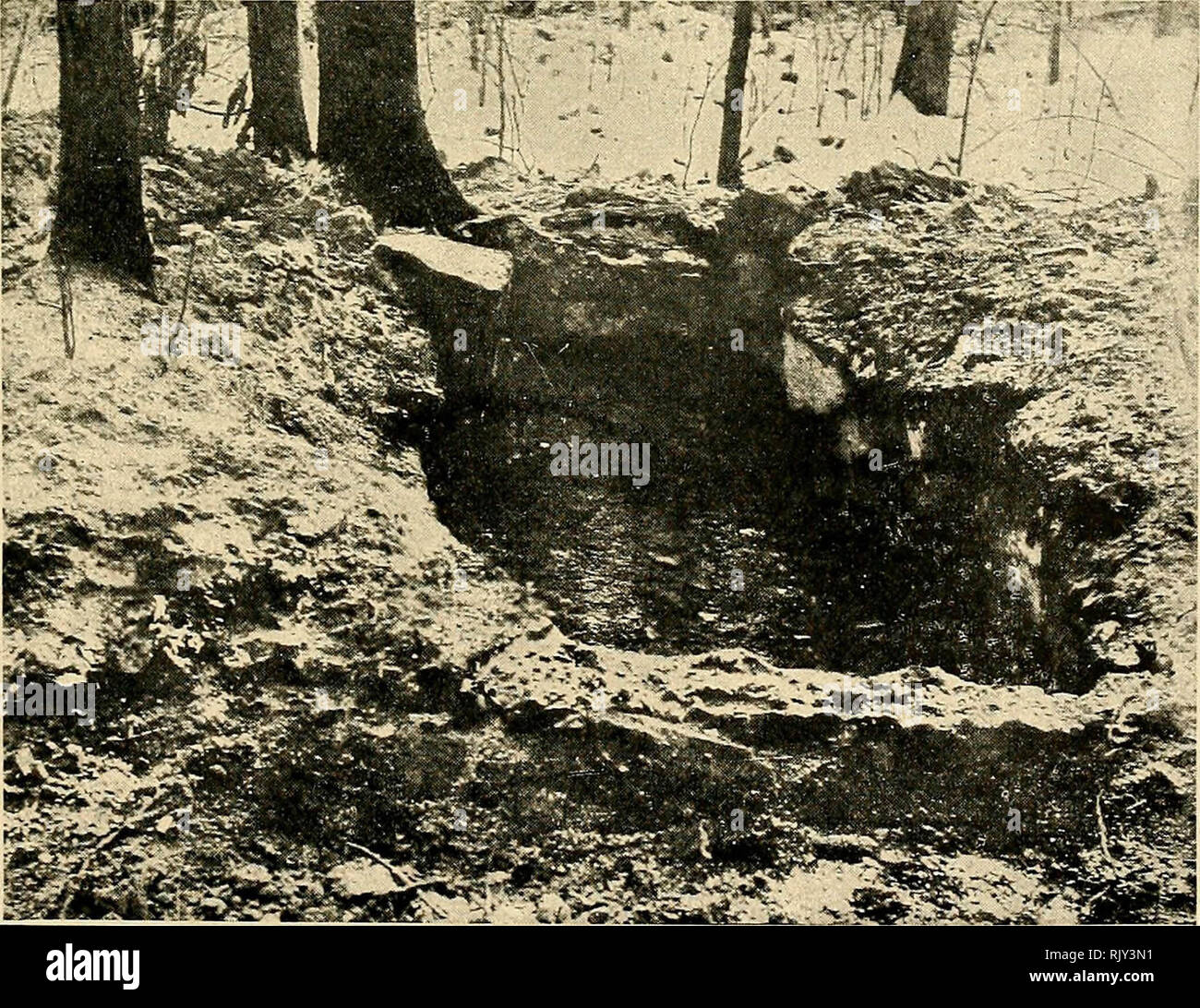 "Native cemeteries and forms of burial east of the Mississippi" (1920
