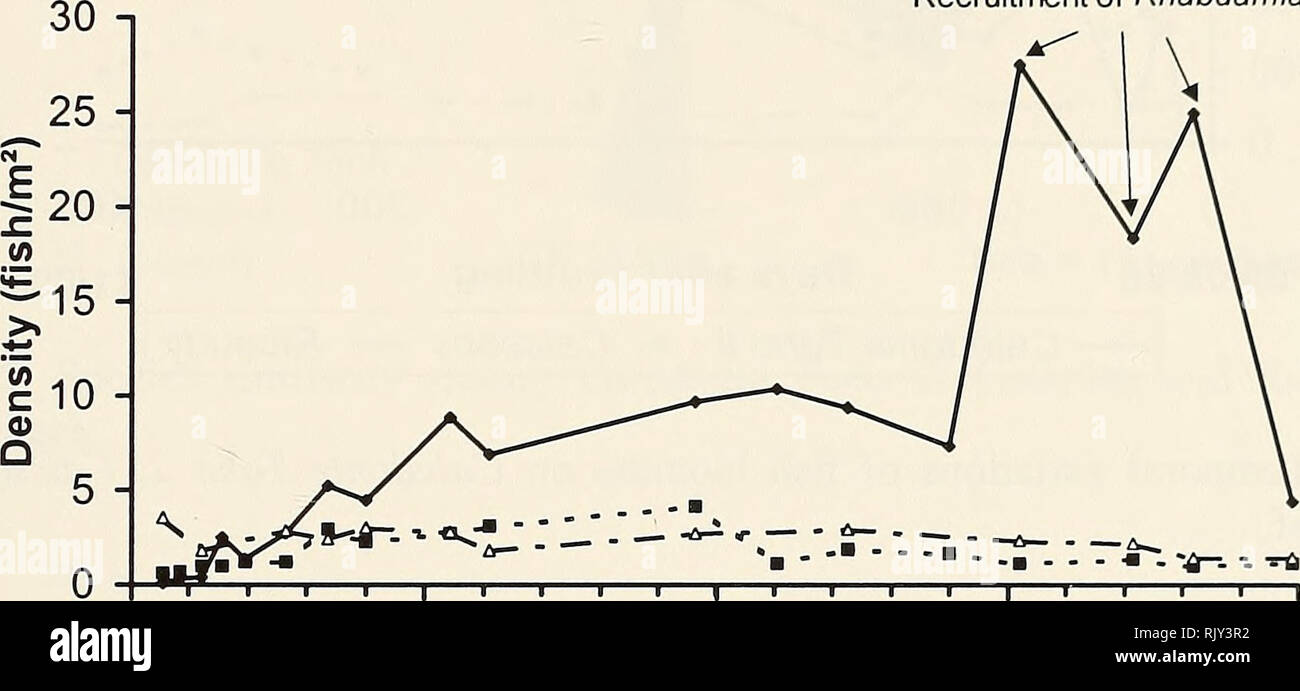 . Atoll research bulletin. Coral reefs and islands; Marine biology; Marine sciences. the end of the recruitment of Clupeidae (Spratelloides spp.) while predation by Carangidae persisted. On Ricaudy, density remained relatively stable throughout the survey (Fig. 3) with fish population being dominated by parrotfish juveniles (Scarus spp.) and adult Pomacentridae (Abudefduf sexfasciatus, Pomacentrus molluccensis and Stegastes nigricans). At the end of the survey, fish density was highest on the CT2 because of the presence of schools of Apogonidae and juveniles, while densities were comparable on Stock Photo