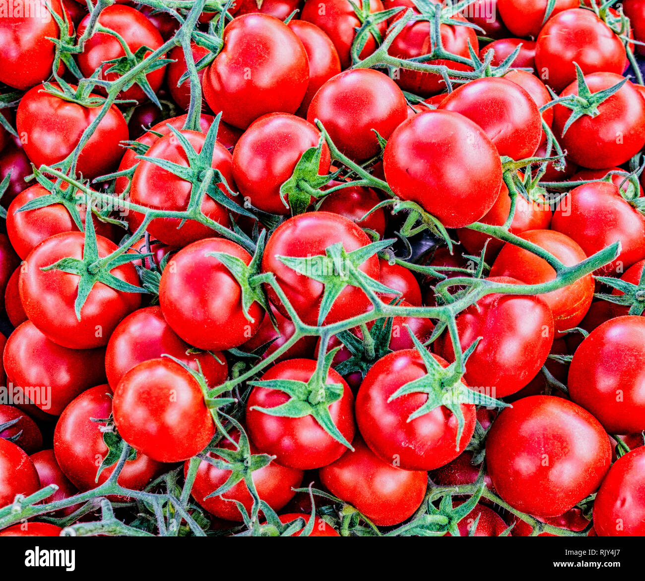Tomatoes for sale on the vine at the market Stock Photo - Alamy
