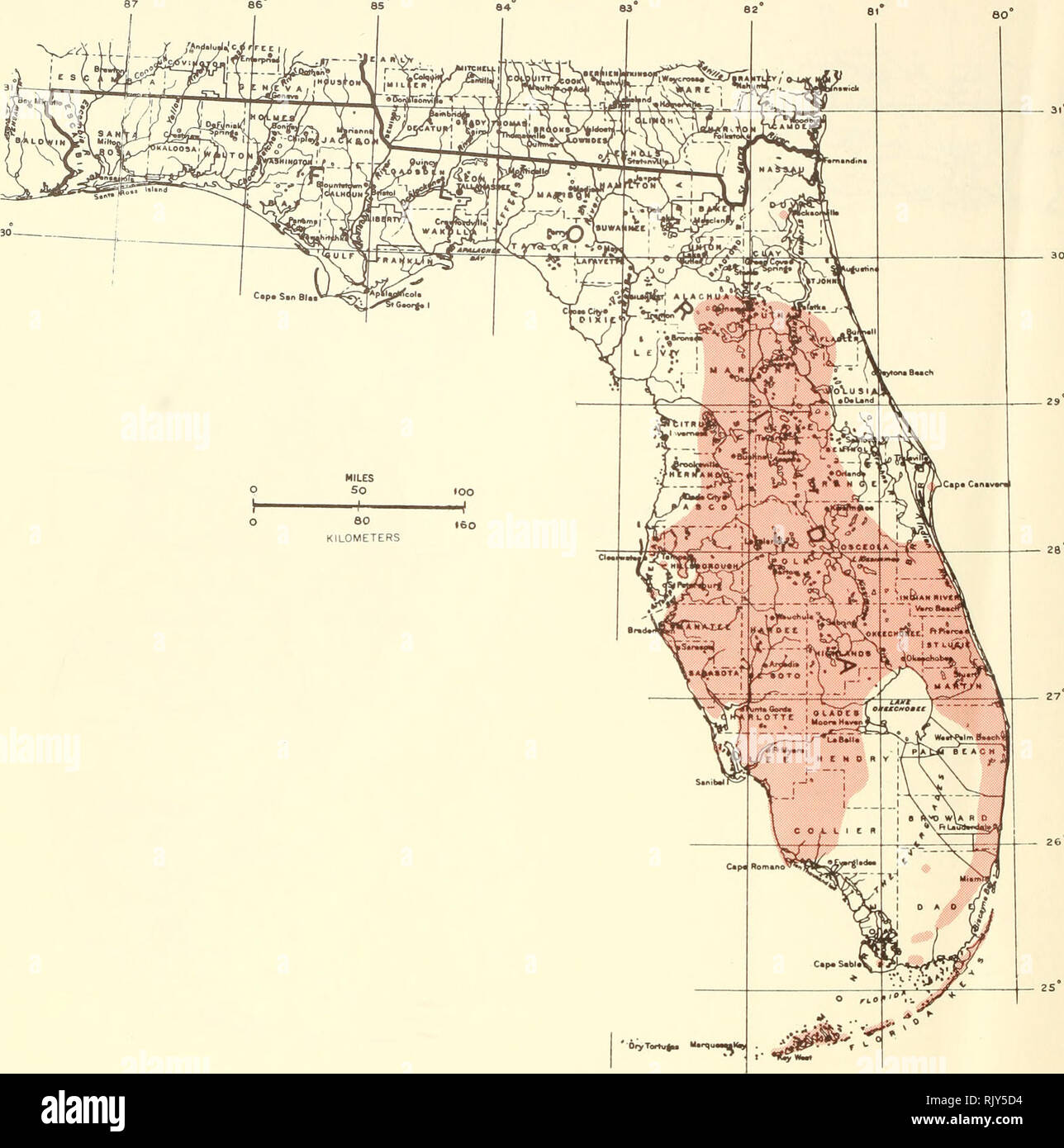 . Atlas of United States trees: volume 5. Florida. Trees. Map 253.—Ximenia americana L., tallowwood.. Please note that these images are extracted from scanned page images that may have been digitally enhanced for readability - coloration and appearance of these illustrations may not perfectly resemble the original work.. Little, Elbert L. (Elbert Luther), 1907-2004; United States. Forest Service. Washington, D. C. : U. S. Dept. of Agriculture, Forest Service Stock Photo