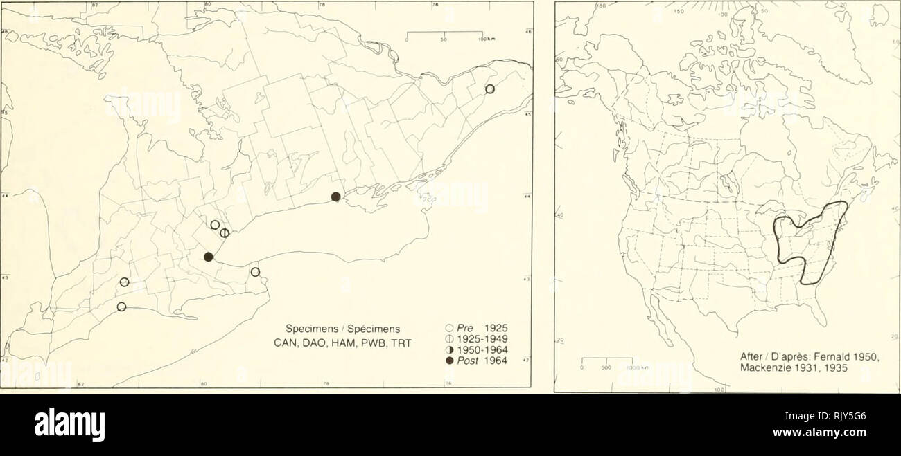 . Atlas of the rare vascular plants of Ontario. Rare plants; Botany