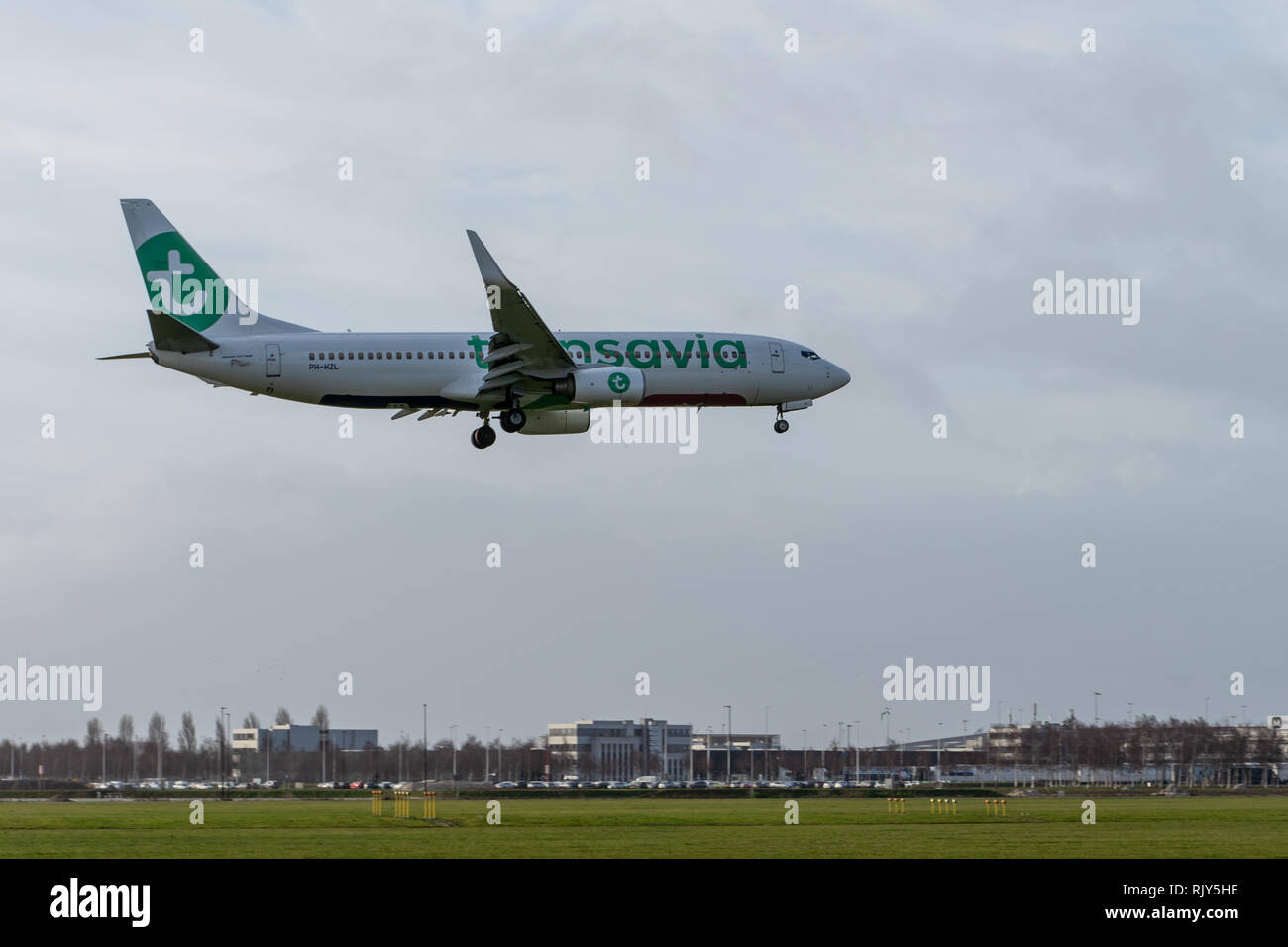 AMSTERDAM / NETHERLANDS - JAN 08, 2019: Transavia Boeing 737-8K2 PH-HZL passenger plane landing at Amsterdam Schiphol Airport Stock Photo