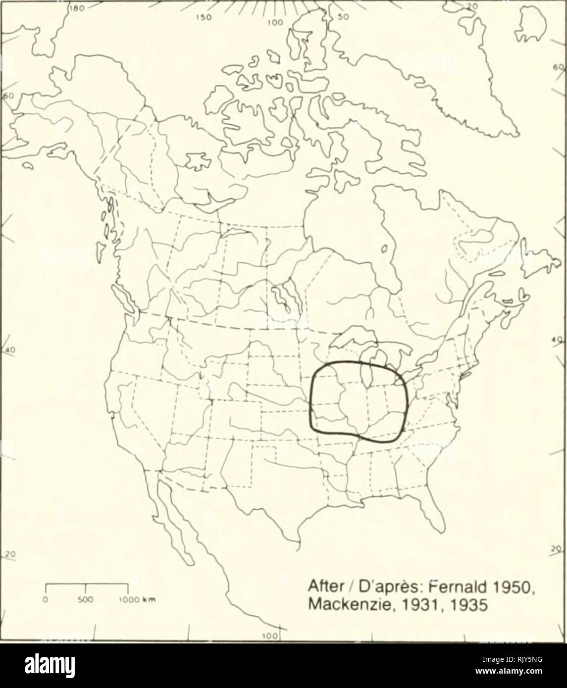 . Atlas of the rare vascular plants of Ontario. Rare plants; Botany. Specimens / Spécimens CAN, DAO. HAM, LKHD, MICH, PFM, TRT, TRTE OPre 1925 ) 1925-1949 31950-1964 • Post 1964. After D'après: Fernald 1950. Macl(enzie, 1931, 1935 HABITAT: Wet-mesic hardwood forests. HABITAT: Forêts de bois durs mésohygriques. STATUS: Rare in Canada, Kansas, Minnesota, and SITUATION: Rare au Canada, au Kansas, au Minne- Tennessee. sota et au Tennessee. P.W. Bail &amp;D.J. White 1982. Please note that these images are extracted from scanned page images that may have been digitally enhanced for readability - col Stock Photo