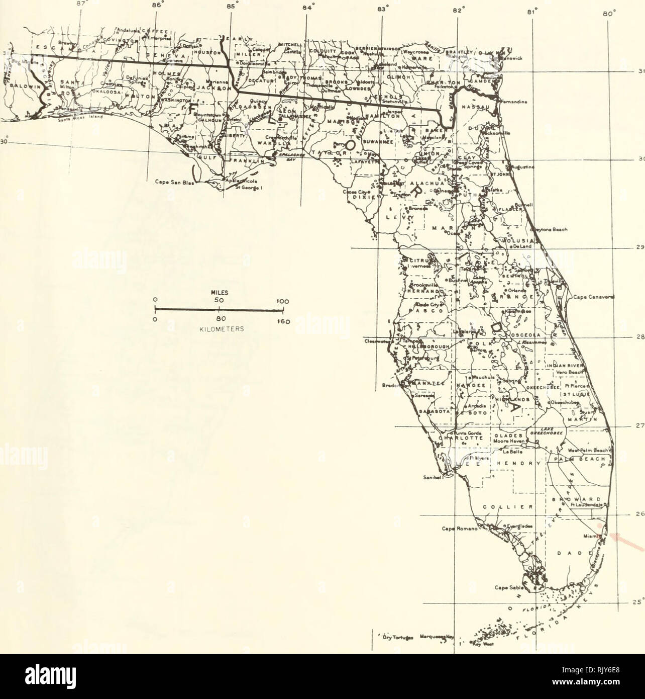 . Atlas of United States trees: volume 5. Florida. Trees. Map 220.—Licaria triandra (Sw.) Kosterm., Florida licaria.. Please note that these images are extracted from scanned page images that may have been digitally enhanced for readability - coloration and appearance of these illustrations may not perfectly resemble the original work.. Little, Elbert L. (Elbert Luther), 1907-2004; United States. Forest Service. Washington, D. C. : U. S. Dept. of Agriculture, Forest Service Stock Photo