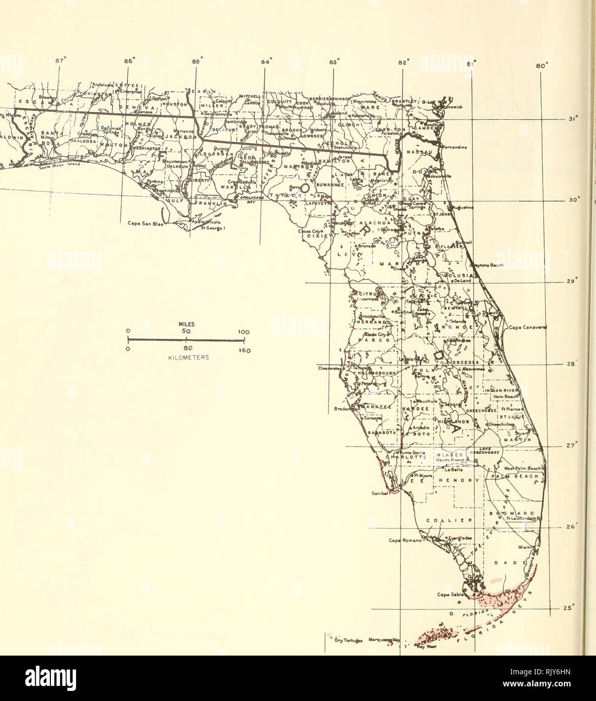 . Atlas of United States trees: volume 5. Florida. Trees. Map 217.—J'acquinia keyensis Mez, joewood.. Please note that these images are extracted from scanned page images that may have been digitally enhanced for readability - coloration and appearance of these illustrations may not perfectly resemble the original work.. Little, Elbert L. (Elbert Luther), 1907-2004; United States. Forest Service. Washington, D. C. : U. S. Dept. of Agriculture, Forest Service Stock Photo