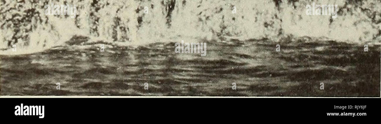 . Atoll research bulletin. Coral reefs and islands; Marine biology; Marine sciences. â¢* â % :â. 1 Leeward side of Cocos Island showing the lush vegetation and one of many waterfalls. 2 Low intertidal zone in Bahia de Wafer. Note Porolithon and/or Lithophyllum spp. on the rocks. 3 Intertidal zonation on a vertical wall, leeward side of Cocos Island. The lichen-covered basalt is followed below by the dark encrusting alga Hildenbrandia or Petrocelis (?). A veneer of Porolithon and/or Lithophyllum spp. is covered by dense aggregations of Tetraclita stalactifera at the lowest level.. Please note t Stock Photo