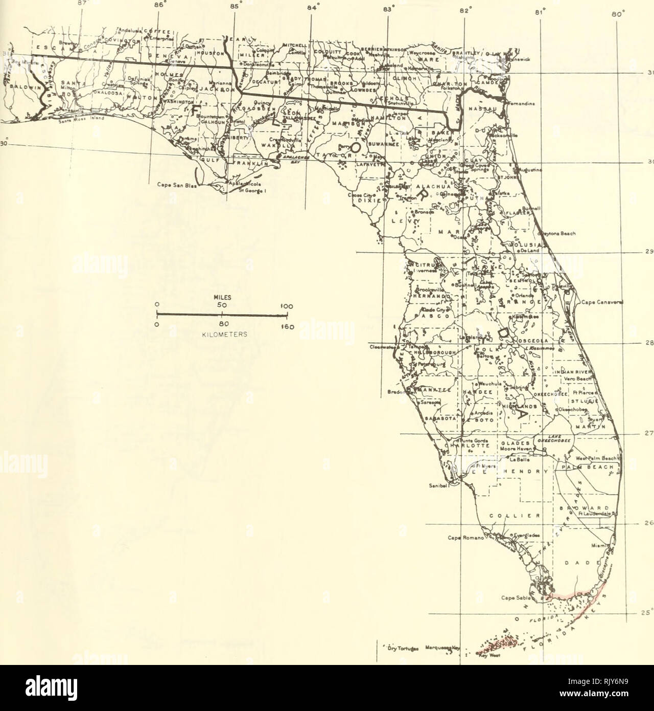 . Atlas of United States trees: volume 5. Florida. Trees. ' Dry Torru^, Itarqu.^.K^ Map 214.—Hippomane mancinella L., manchineel.. Please note that these images are extracted from scanned page images that may have been digitally enhanced for readability - coloration and appearance of these illustrations may not perfectly resemble the original work.. Little, Elbert L. (Elbert Luther), 1907-2004; United States. Forest Service. Washington, D. C. : U. S. Dept. of Agriculture, Forest Service Stock Photo